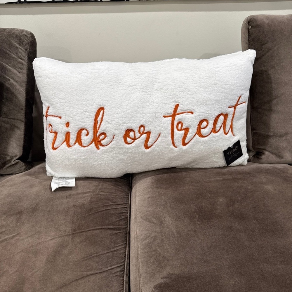 THRŌ by Marlo Lorenz White Sherpa‘Trick or Treat' Embroidered Accent Pillow